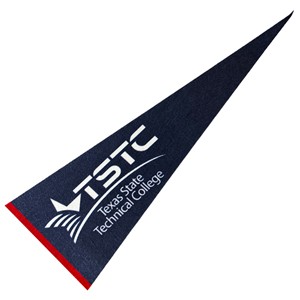 TSTC Pennant - main view