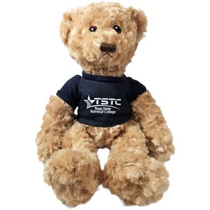 Teddy Bear -  1
